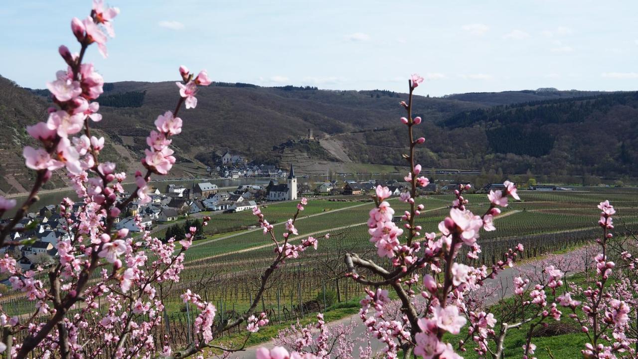 Gaestehaus Preuss Ellenz-Poltersdorf Kültér fotó